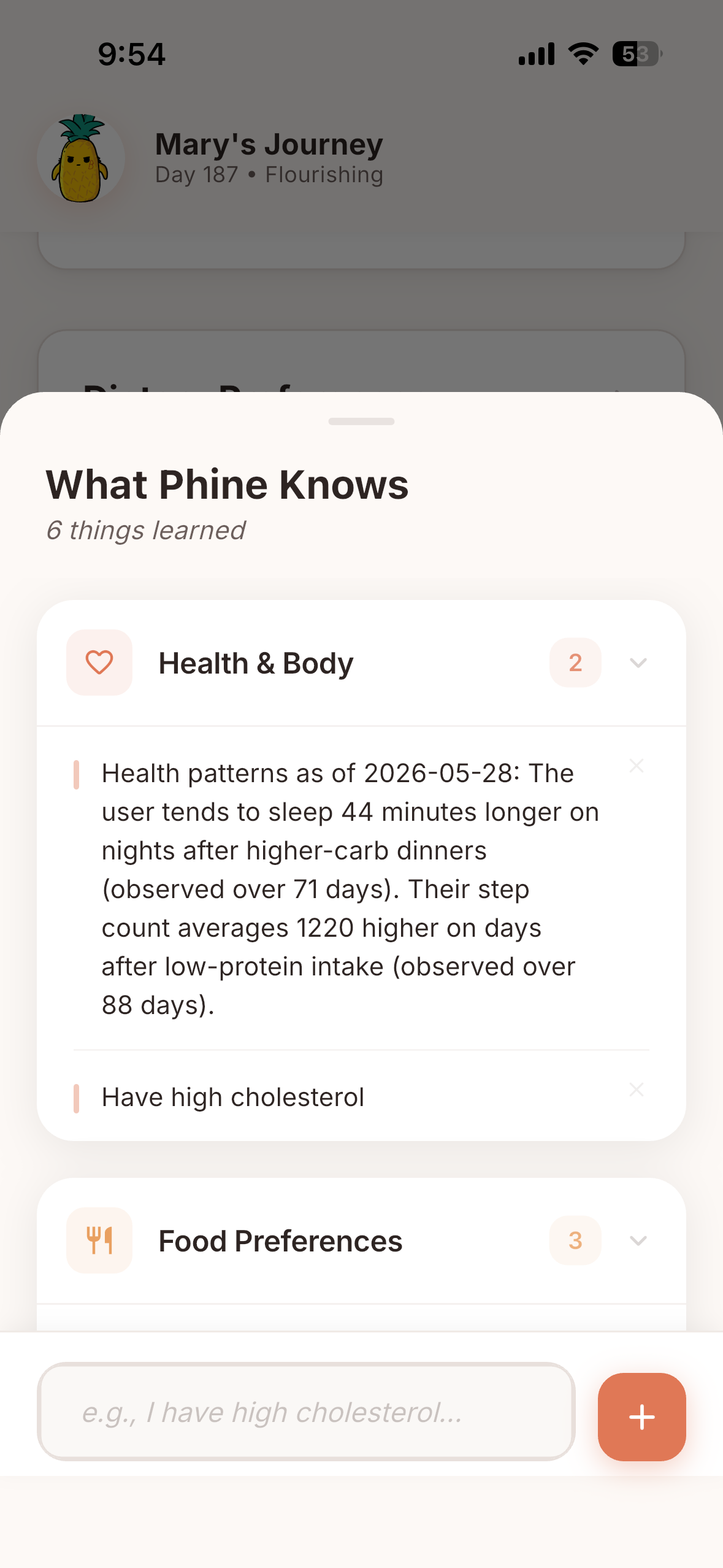 What Phine knows — patterns learned from your logs.